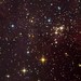 Stars in Sadr region of Cygnus