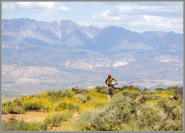 Southern Utah Superbloom Mountain Biking