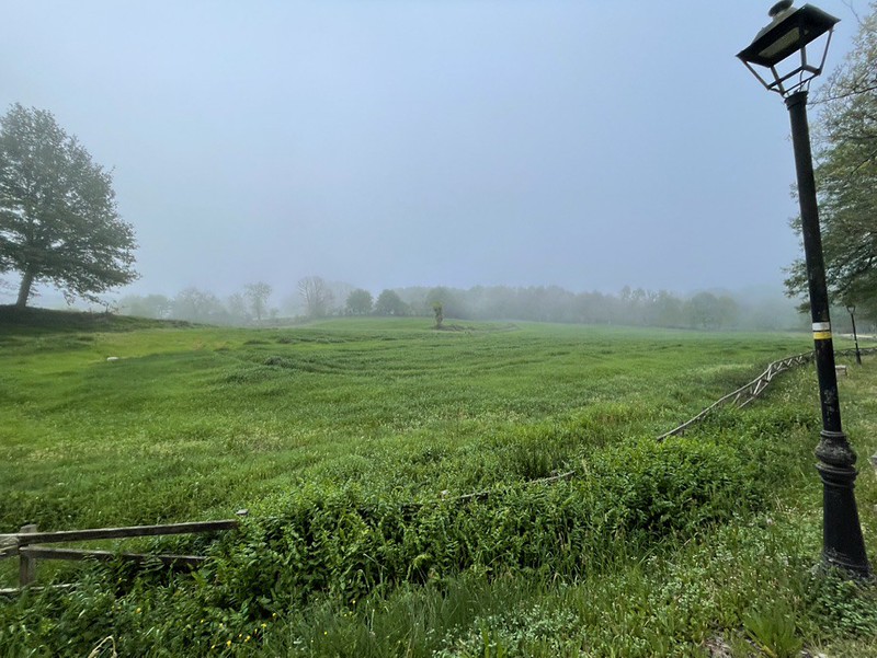 Foggy sky over green fields on their walk