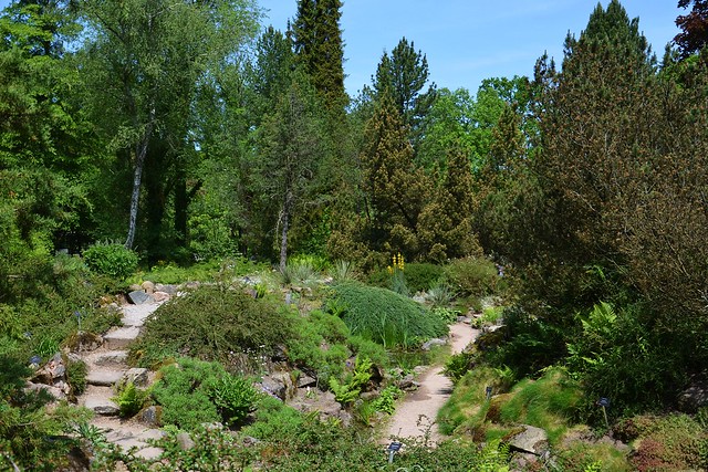 paths in alpinarium :)