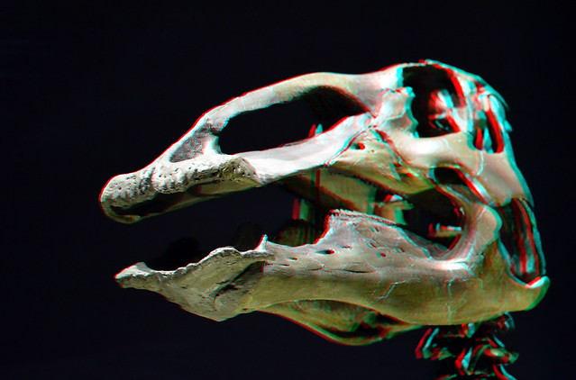 Skull Edmontosaurus Naturalis Leiden 3D