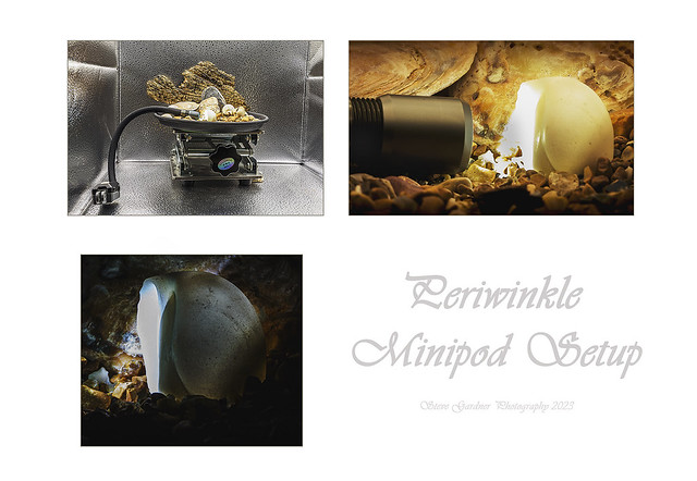 20230609-Perriwinkle Mini Pod Setup Composte-2-2