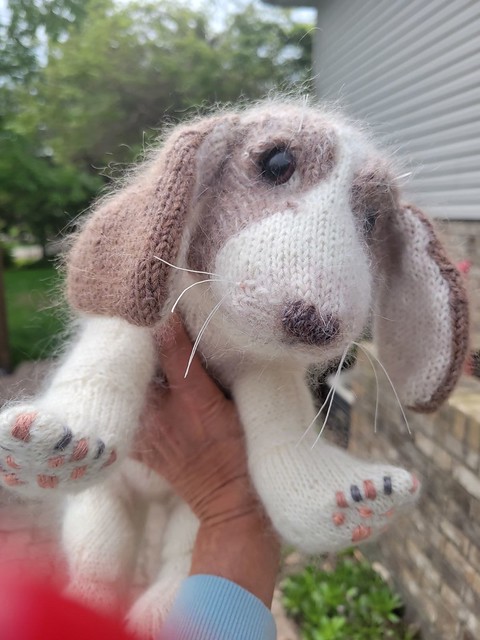 Colleen has made two of these! This is her first Beagle Puppy by Claire Garland using Garnstudio Drops Flora and Drops Kid Silk.
