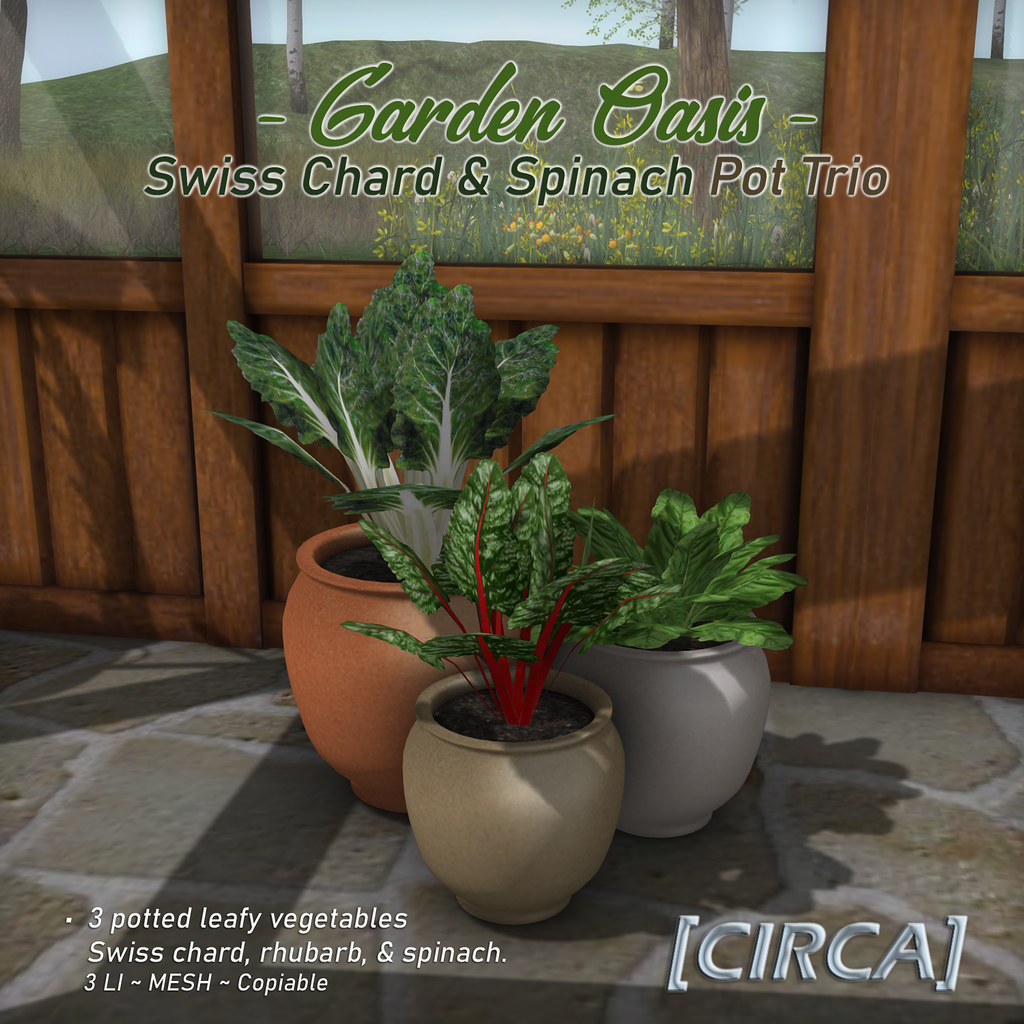 SL Home Decor Wknd Deal | [CIRCA] – Garden Oasis – Swiss Chard & Spinach Pot Trio