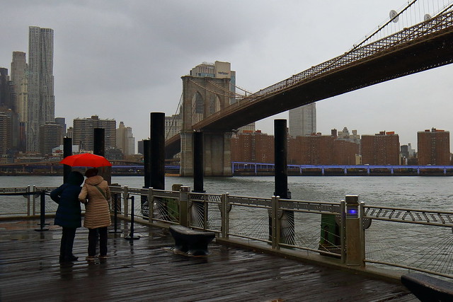 IMG_5529_4 - New York City. Rainy Brooklyn