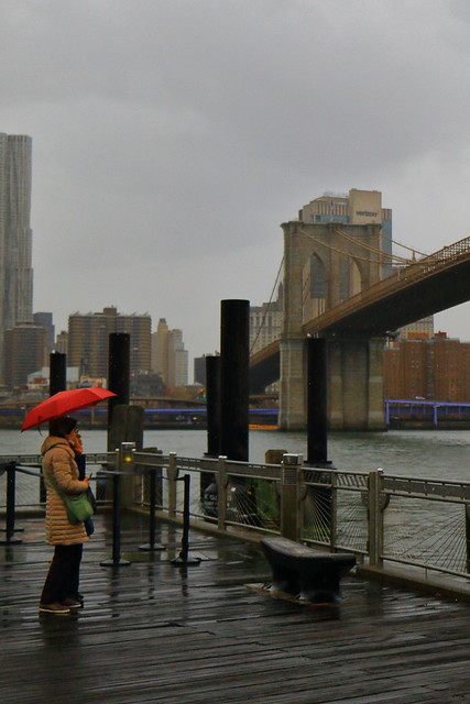 IMG_5532_2 - New York City. Rainy Brooklyn