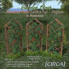 Secret Sale Deal | [CIRCA] - Garden Oasis - Tomatoe Plant Lattice Set - Singles