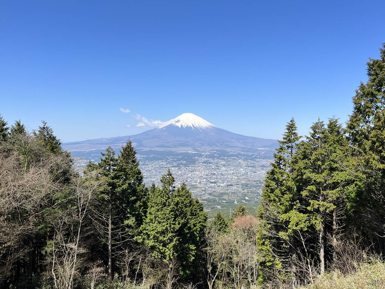 金時山〜丸山 乙女峠から眺める富士山