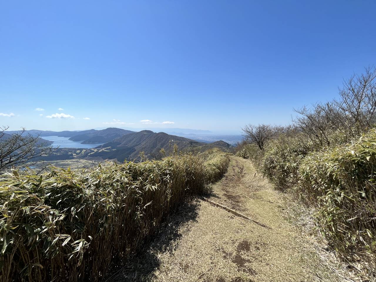 金時山〜丸山 マメザクラ満開の稜線登山
