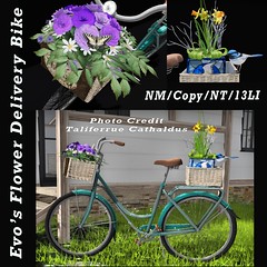 Evo's Flowers Delivery Bike