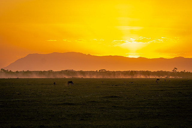 East Africa Safari (104)