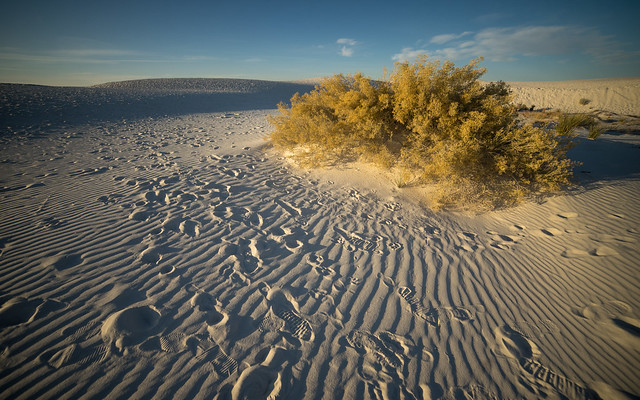 White Sands in Morning Light | White Sands National Park, New Mexico, USA