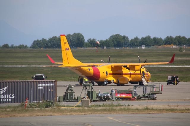 295516 RCAF CC295