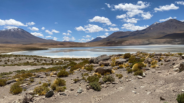 Laguna Hedionda, Siloli Desert, Bolivia