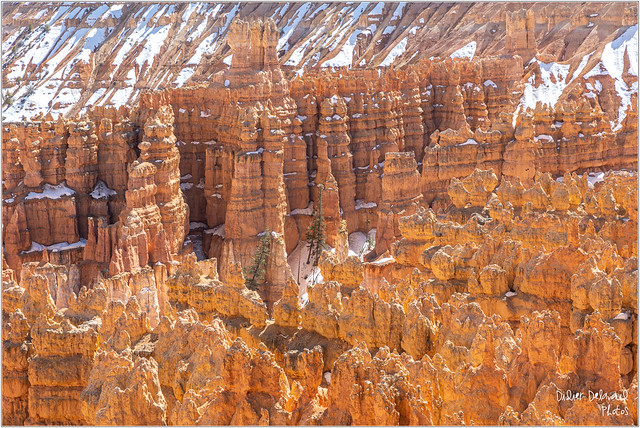 Brice Canyon, Utah, Usa