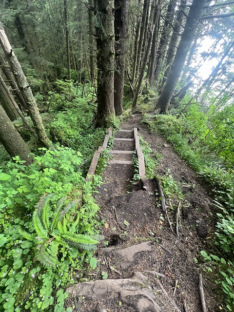 Hiking Oregon 6-10-23