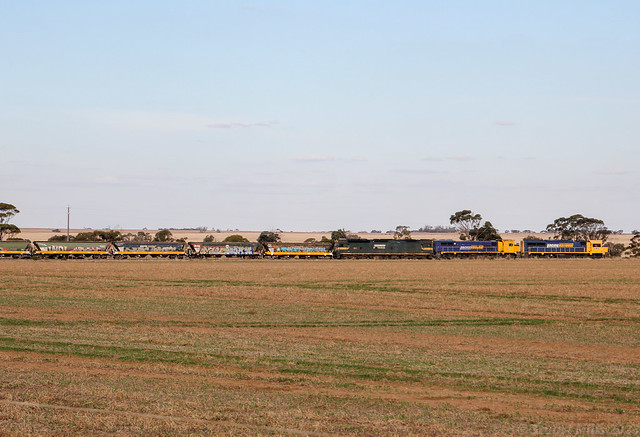 XR557 X50 and G523 continue to load grain at Bow Hill just North of Rainbow