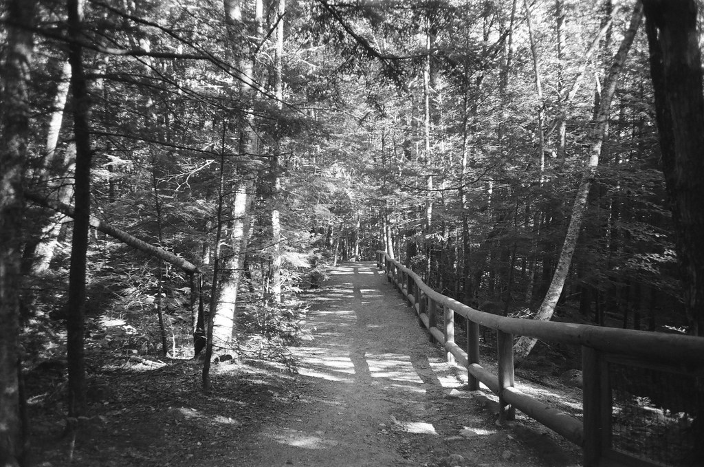 Sabbaday Brook Trail 2
