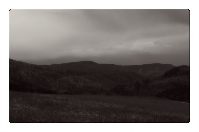 Black Forest visions BW May 23 # 5
