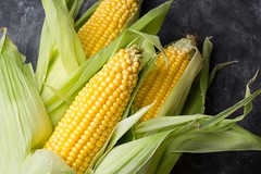 corn-feature-image.jpg copy
