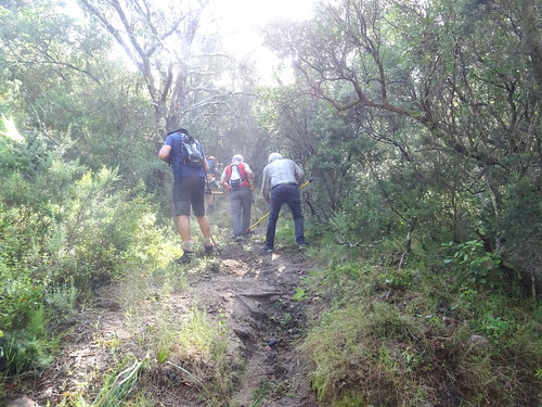 Travaux d'entretien PR4/PR5 : dans la montée vers la cascade de Piscia Cava