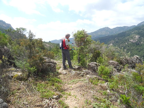 Travaux d'entretien PR4/PR5 : dans la montée vers la cascade de Piscia Cava à la sortie de la couverture végétale