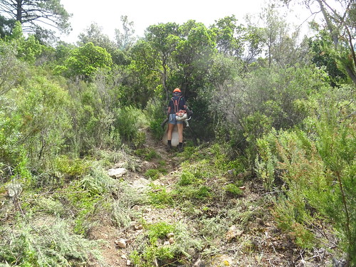 Travaux d'entretien PR4/PR5 : dans la montée vers la cascade de Piscia Cava, débroussaillage à la sortie de la couverture végétale