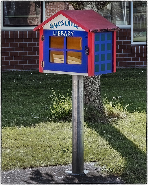Sally's Little Library