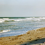 Beach Scene, Cocoa Beach, 1996 