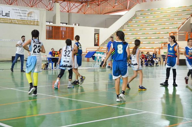 Premini femenino campeonato de canarias