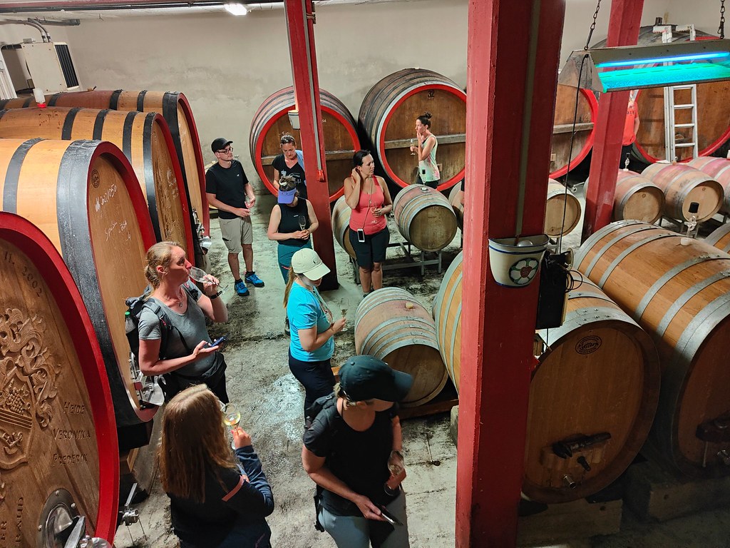 Im Weinkeller vom Weingut Strubel-Roos beim 10. Bloggerwandern Rheinland-Pfalz