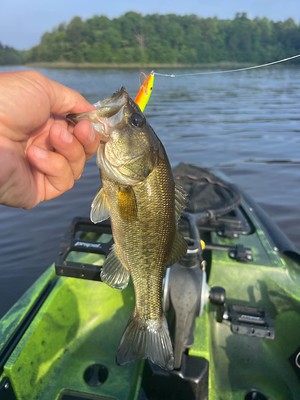 Photo of largemouth bass being held up in a boat