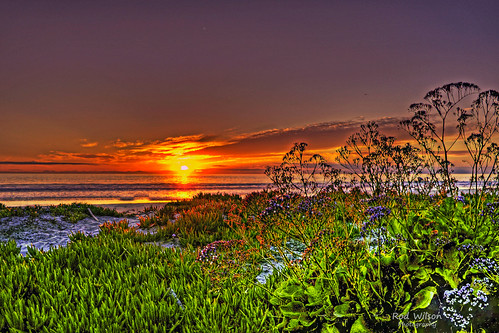 O'Side StMalo Beach 6-23 by rod1691, California Sunset Saint Malo Beach Oceansideflickrpro southern california dawn unitedstates nature b