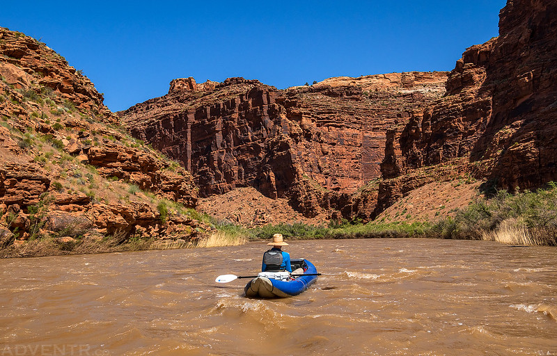 Dolores River View