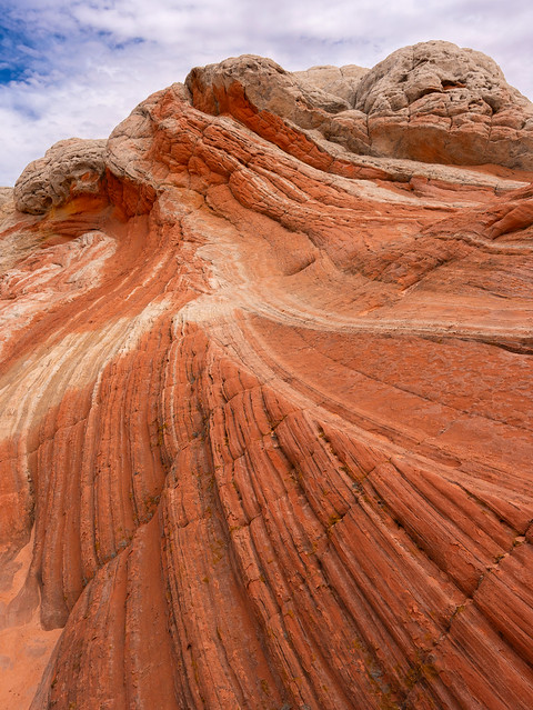 Lines In Red Rock