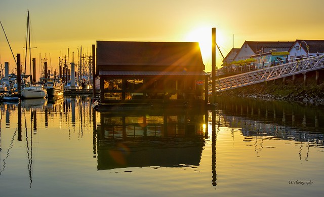 SURROUNDED BY GOLD - STEVESTON HARBOUR, RICHMOND BC