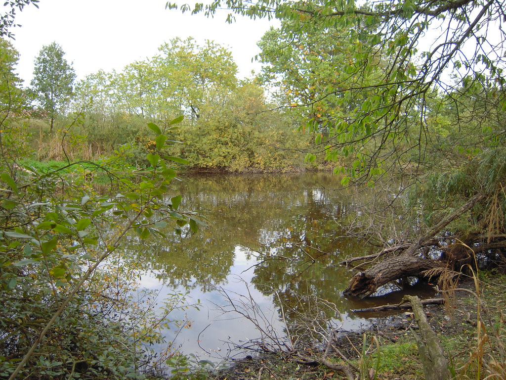 PP Milíčovský les a rybníky nacházející se v újezdu u Průhonic
