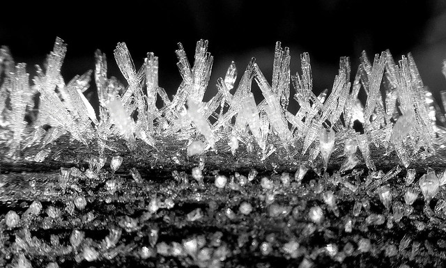Tiny ice “sculptures” glistening in the early morning sun .....