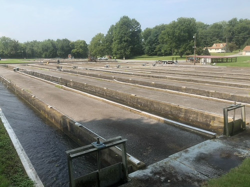 Photo of cement troughs called raceways, used in growing fish