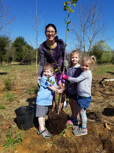 Photo of woman and three children planting a young tree