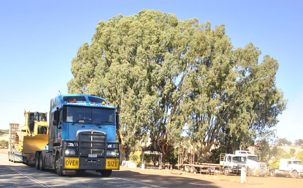 Freight Movement of Silverwater, NSW. Kenworth K200