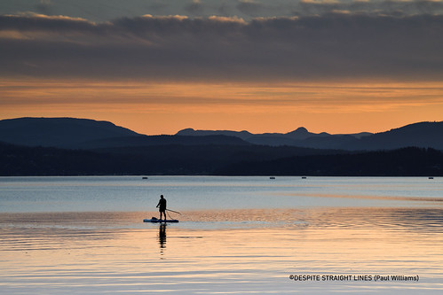 Silent contemplation - (Published by GETTY IMAGES) by DESPITE STRAIGHT LINES, ©All photographs on this site are copyright: ©DESPITE STRAIGHT LINES (Paul Williams) 2011 – 2021 &am