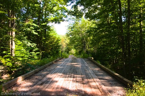 The bridge on the road over Wolf Run, Coyote Rocks Loop, Pennsylvania State Game Lands 57
