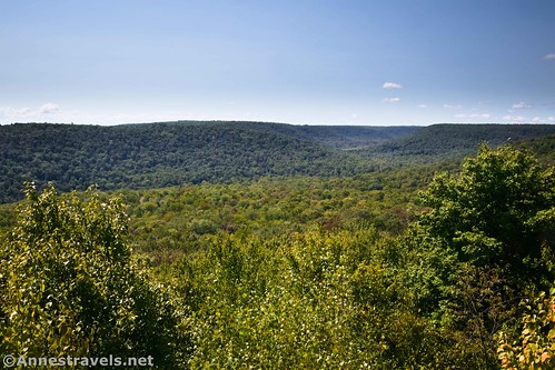 Views into Ricketts Glen State Park from Coyote Rocks, Pennsylvania State Game Lands 57