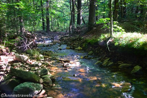 Wolf Run near where it empties into Bowman Creek, Coyote Rocks Loop, Pennsylvania State Game Lands 57