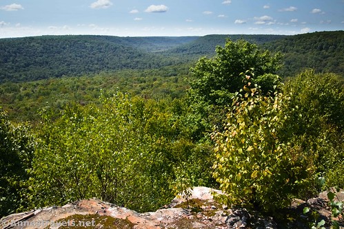 Views from Coyote Rocks, State Game Lands 57, Pennsylvania