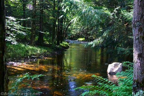 Peaceful section of Bowman Creek, Coyote Rocks Loop, Pennsylvania State Game Lands 57