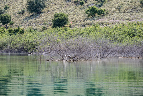 Kournas Lake (Kreta)-18