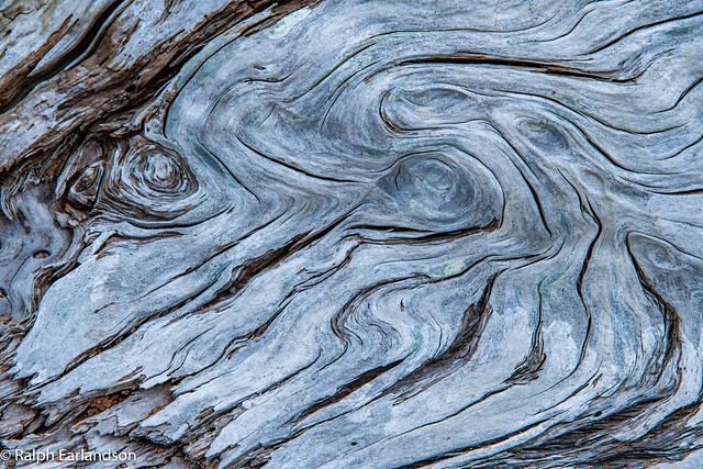 Driftwood Abstract