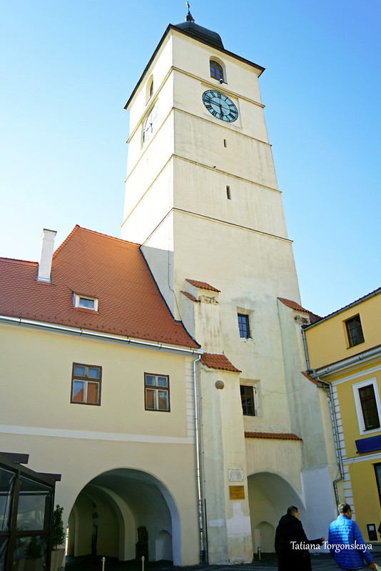 Вид с Малой площади на башню Совета